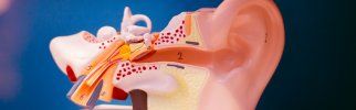 Neurinome de l’acoustique : comprendre ses causes, symptômes et solutions 